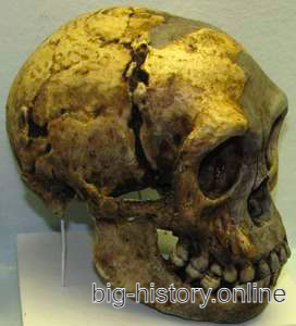 floresiensis