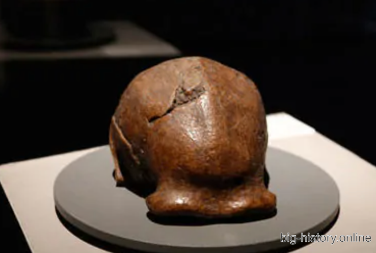 北京人头骨化石的复制品