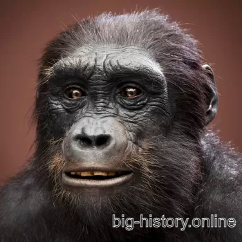 乍得沙赫人艺术想象图