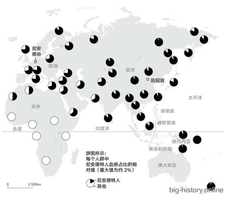 来自尼安德特人血统的比例