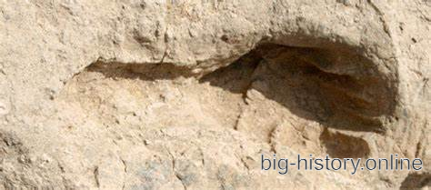 直立人留下的脚印