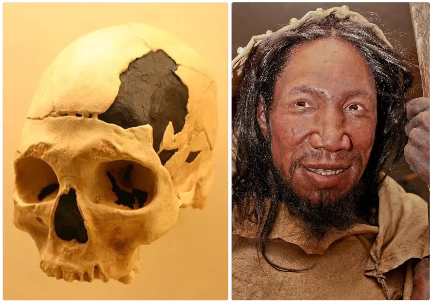 Timeline_of_human_evolution