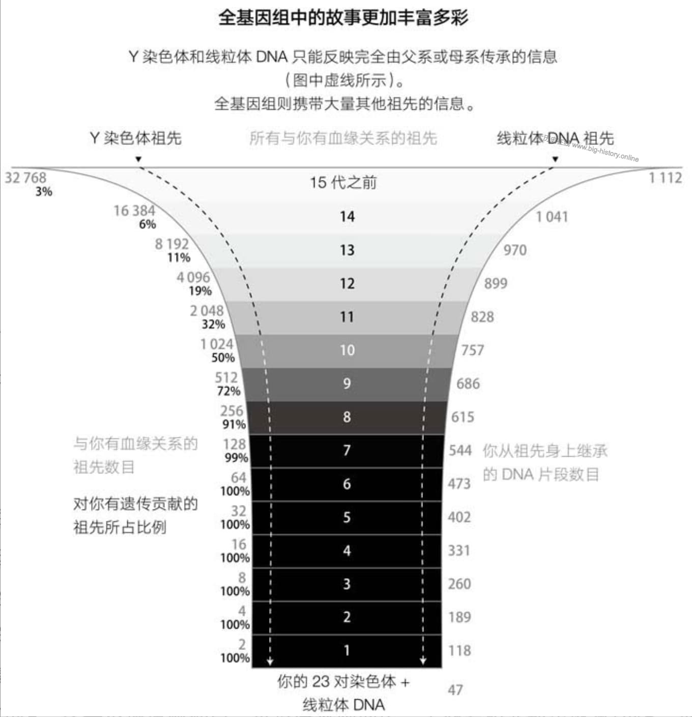 人类起源的故事
