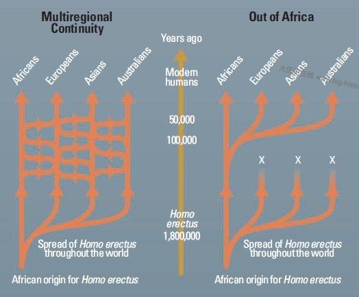 “多地独立起源说”和“晚近非洲起源说”