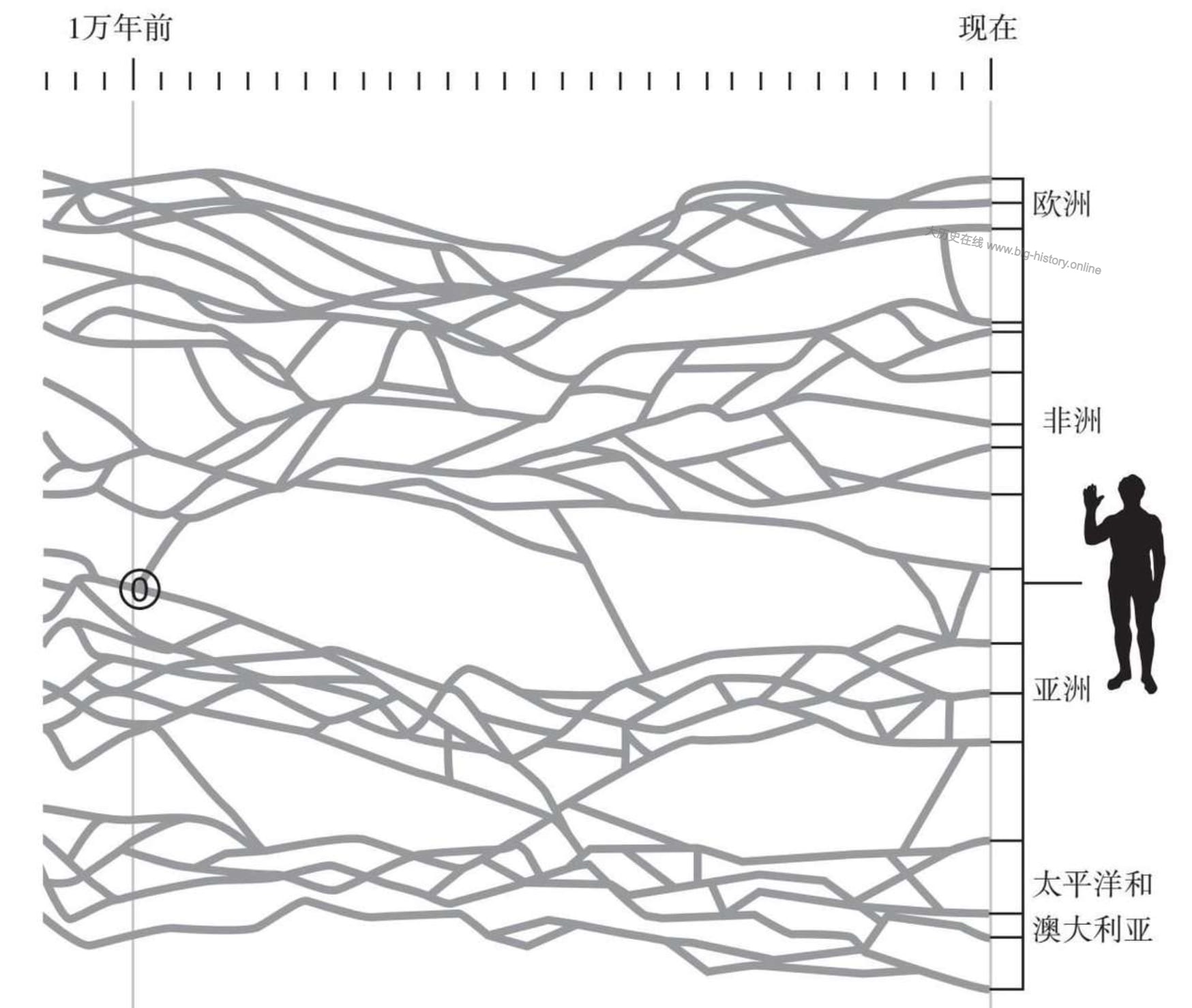 现代人的最近共同祖先
