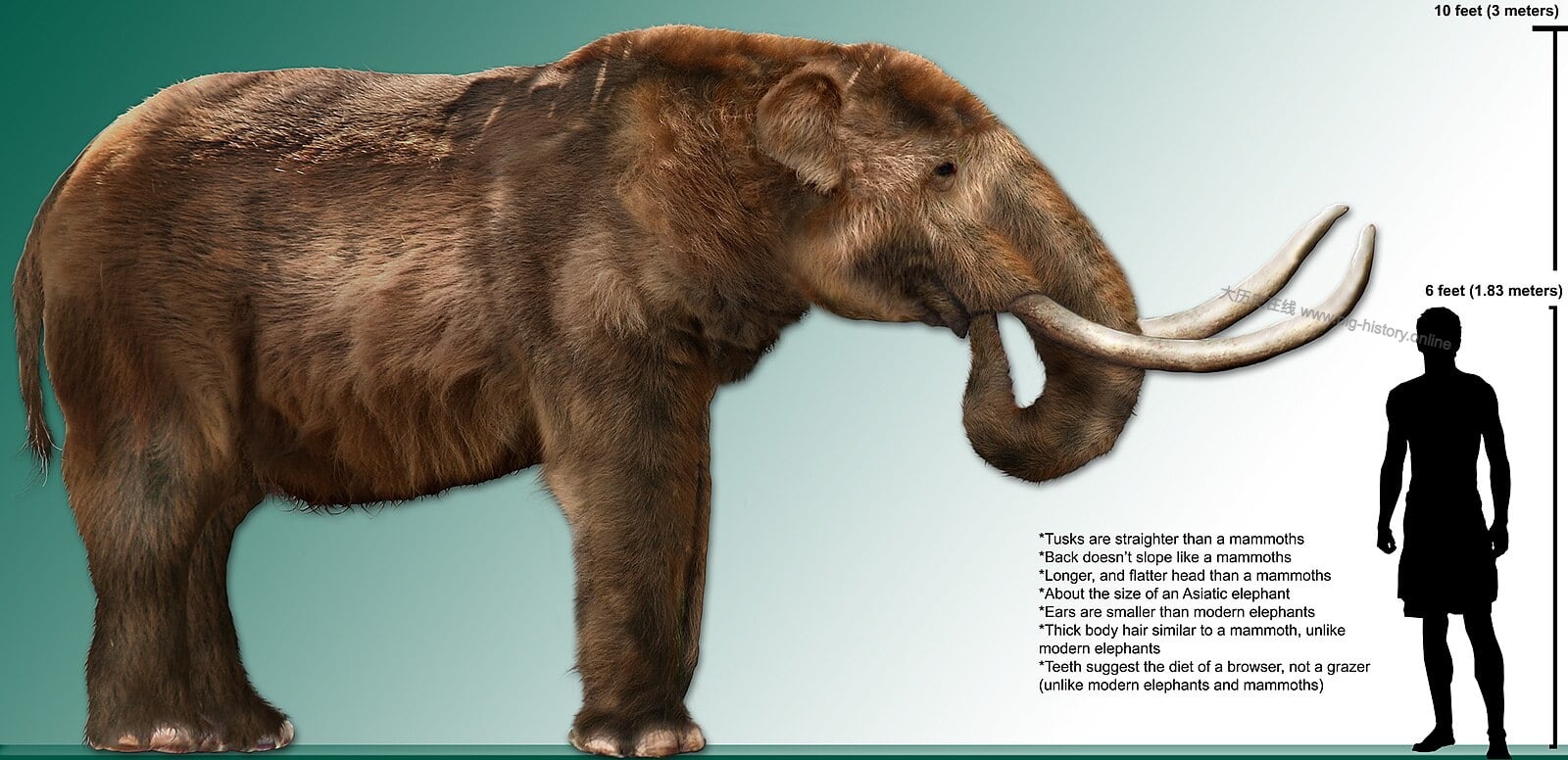 High_res_mastodon_rendering