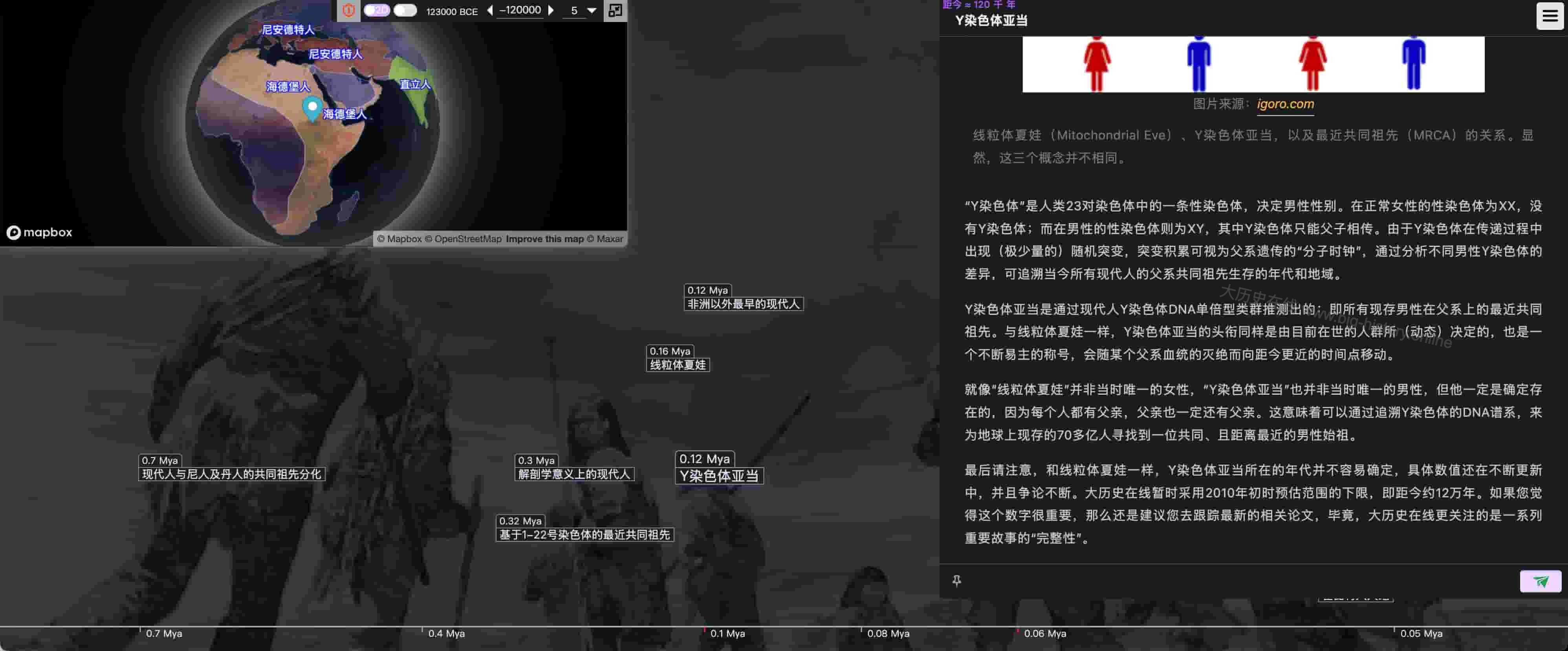 12万年前生活在非洲的Y染色体亚当 | 大历史在线