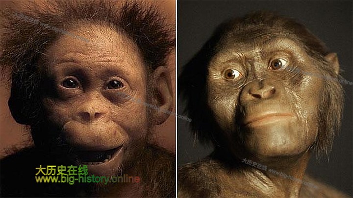 露西-"人类的祖母"