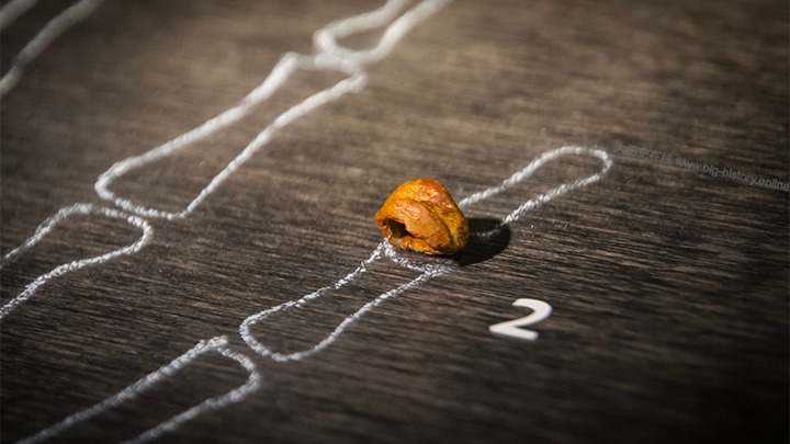 데니 소반 멸종